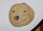 Cookie.dog