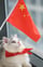 China Cat