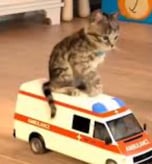Medic