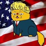 TRUMP CAT