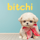 bitchi