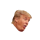 FTrump