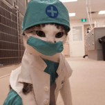 Medicat