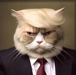 TRUMP CAT