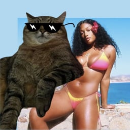 LUX CAT