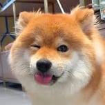 Rubi