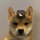 dogwifdnd