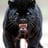 princepanther11's profile picture