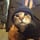 hoodcat