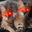 r3d3y3's profile picture