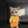 FELONCAT