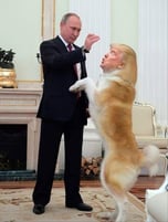 Putins 1st dog