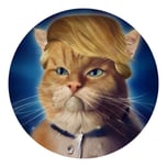 TRUMP CAT