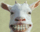 BRACEDGOAT