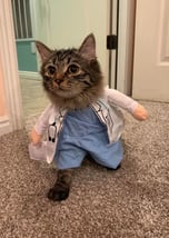 MEDIK CAT