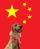 China DOG