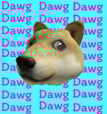 Dawg