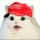 MAGA CAT