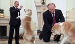 PUTIN'S DOG