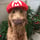 MARIODOG