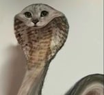 catsnake