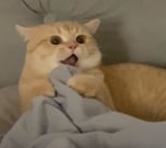 nok
