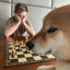 CHESS