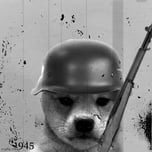A Dog in the Trenches