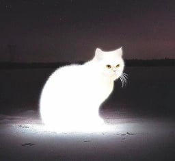 Glow