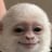 f4p1's profile picture