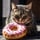 Donut Cat