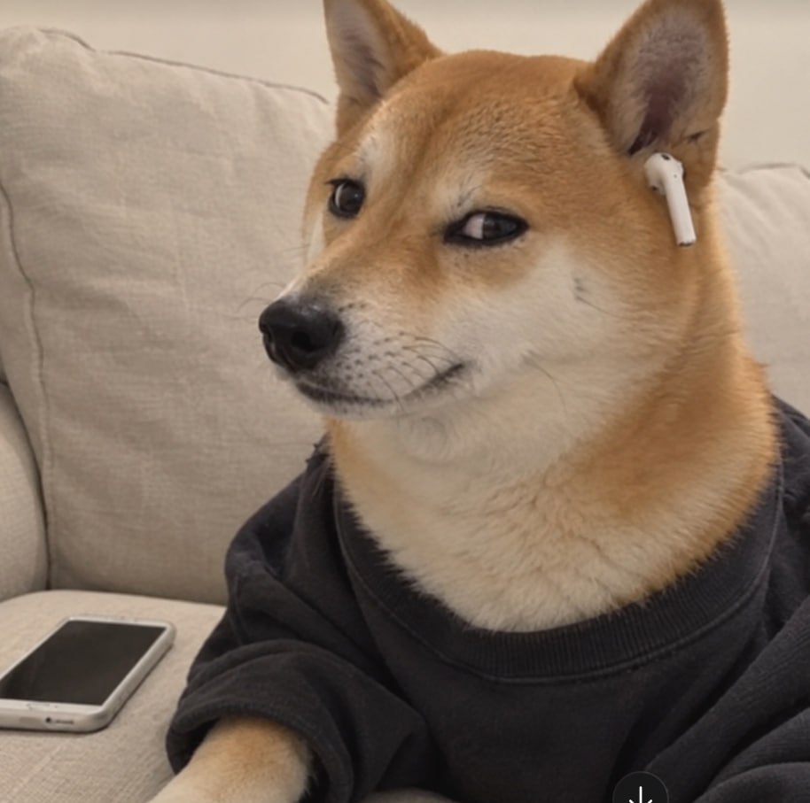 Flex Inu logo