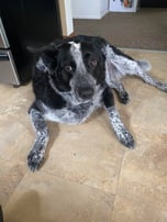 RIP Rubble