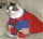 SUPERCAT