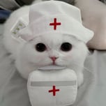 MediCat 