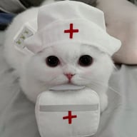 MediCat