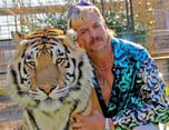 TIGER KING