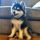 husko