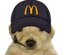 MCDOG