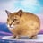 itscatito's profile picture