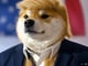 Donald Doge