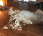 rub me