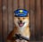 dogwifset's profile picture