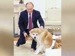 New Putin Dog