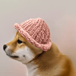 SHIBA WIF HAT 