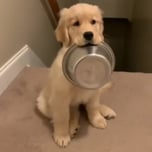 lucky