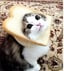 Breadcat