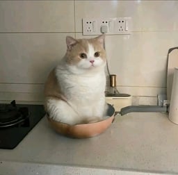let him cook 