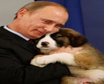 PUTIN'S DOG
