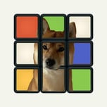 Rubik Dog
